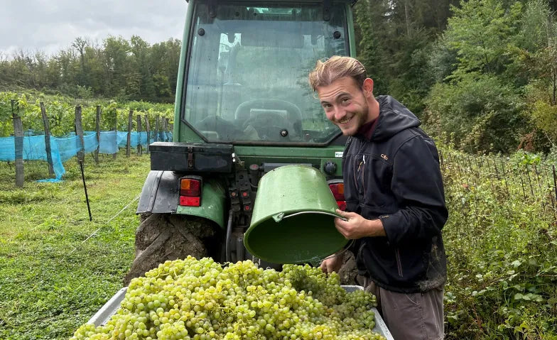 Wein & Winzer: Weingut Schreiberlay an der Lahn