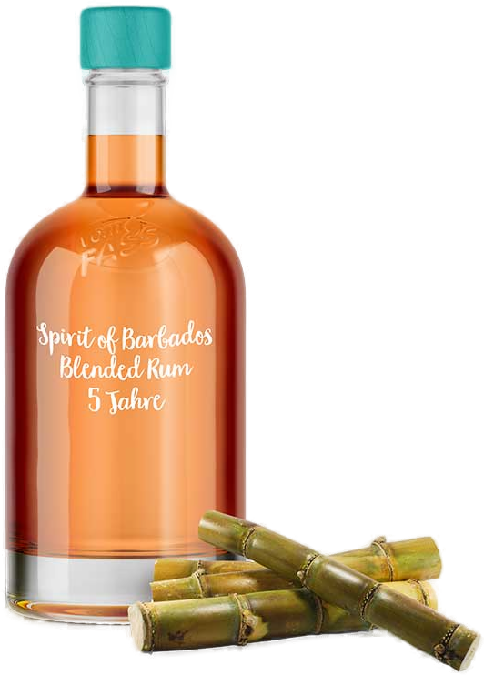 
                                Spirit of Barbados Blended Rum, 5 Jahre
                            
