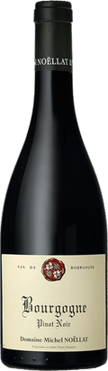 2021 Bourgogne, Pinot Noir
