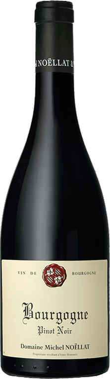 2021 Bourgogne, Pinot Noir