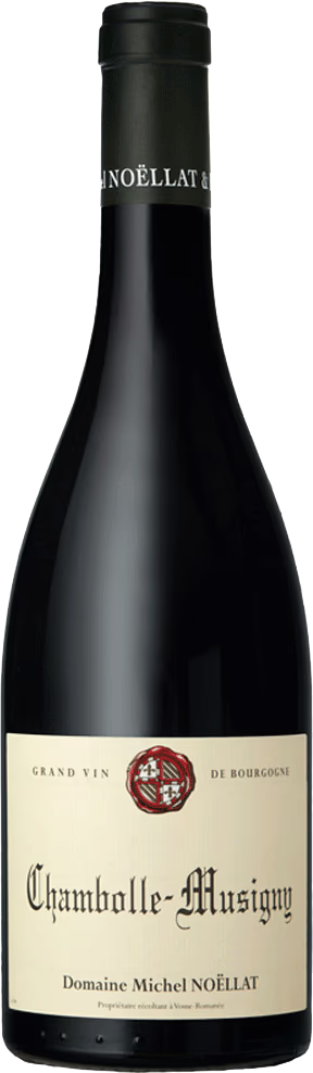 Kiedrich Turmberg Riesling trocken