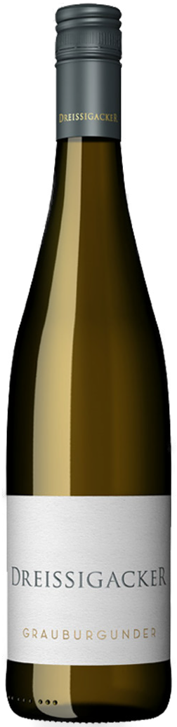 
                                2023 Grauburgunder Weingut Dreissigacker
                            