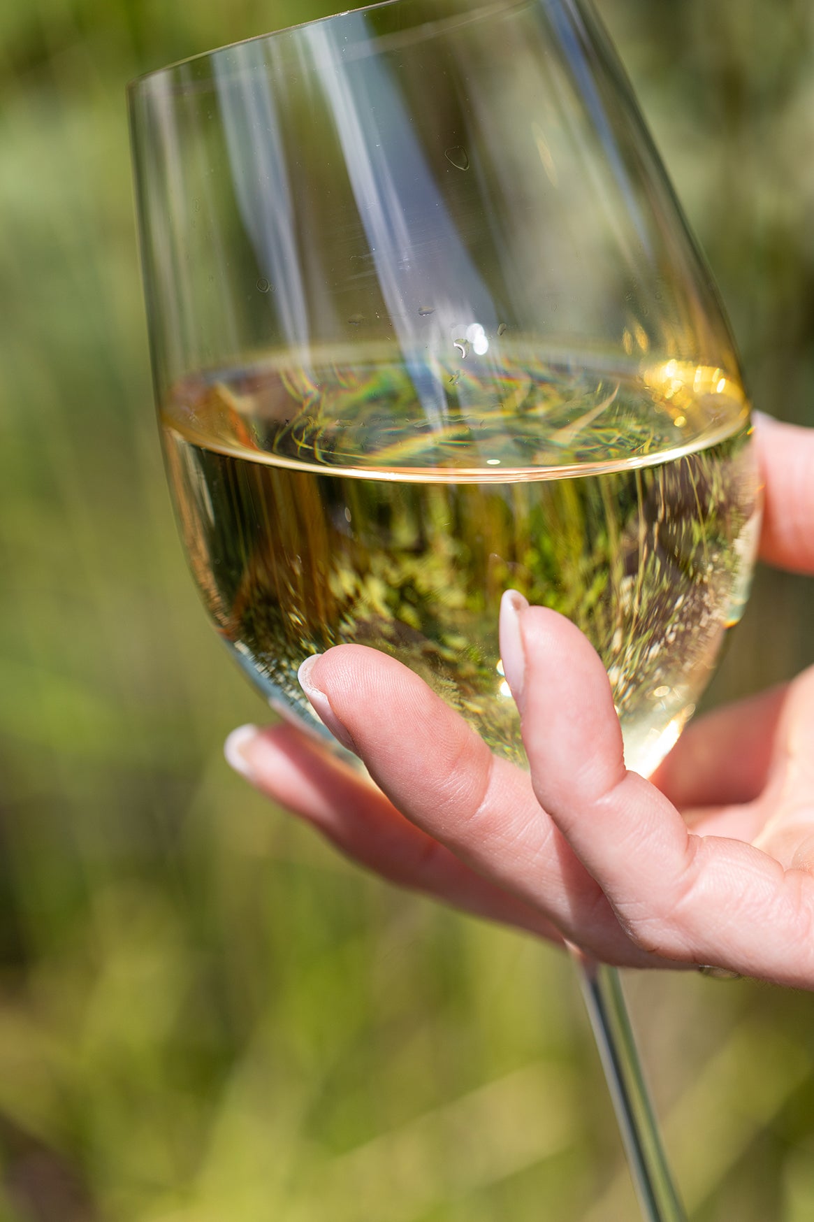 Masquenada Sauvignon Blanc, Verdejo