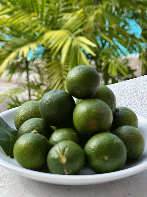Calamansi Balsam