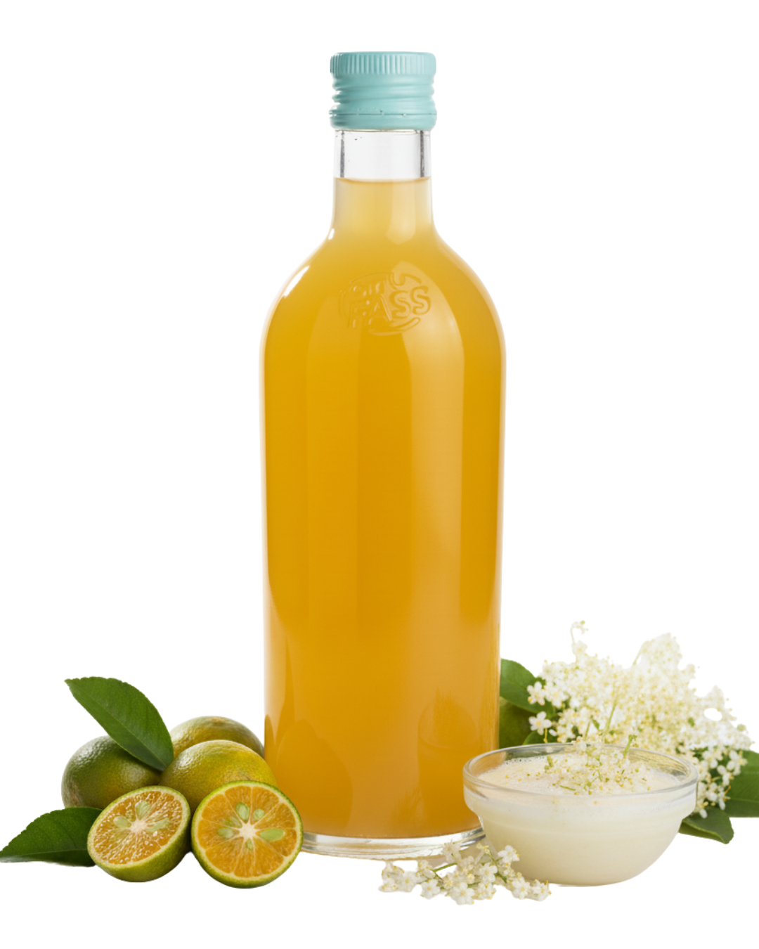 Shrub Calamansi-Holunderblüte