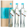 Geschenkset "Gin zum Probieren"