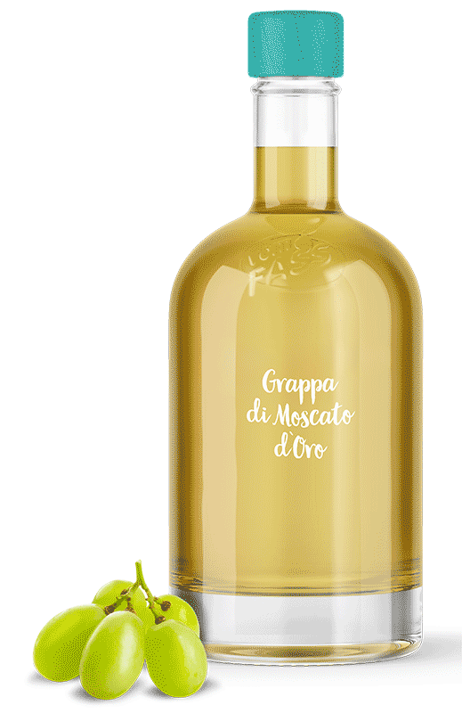 
                                Grappa  di Moscato d`Oro 
                            