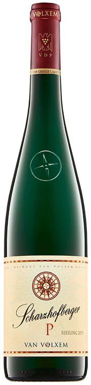 
                                2022 Scharzhofberger Riesling "P" GG 
                            