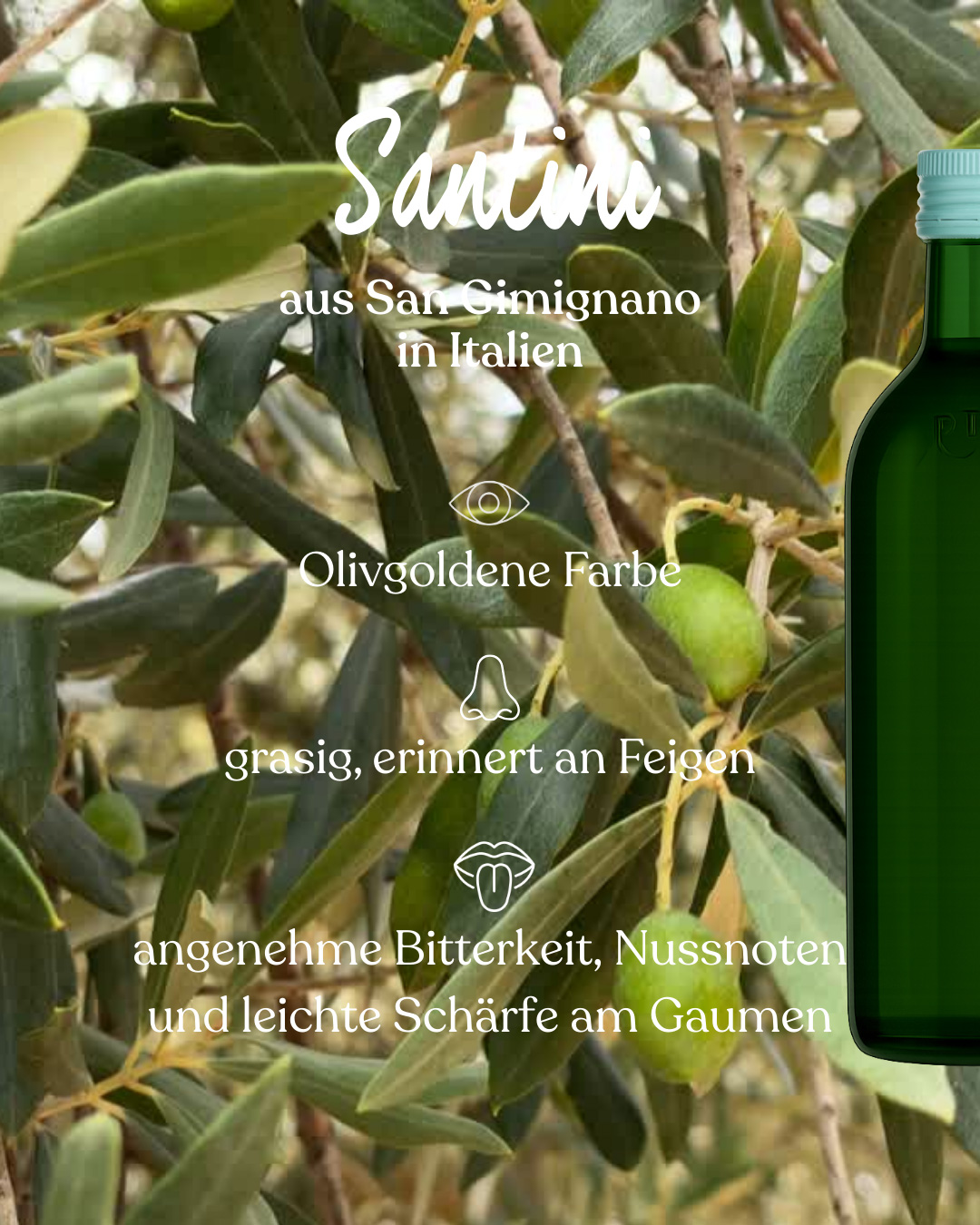 Fakten Santini extra natives Olivenöl