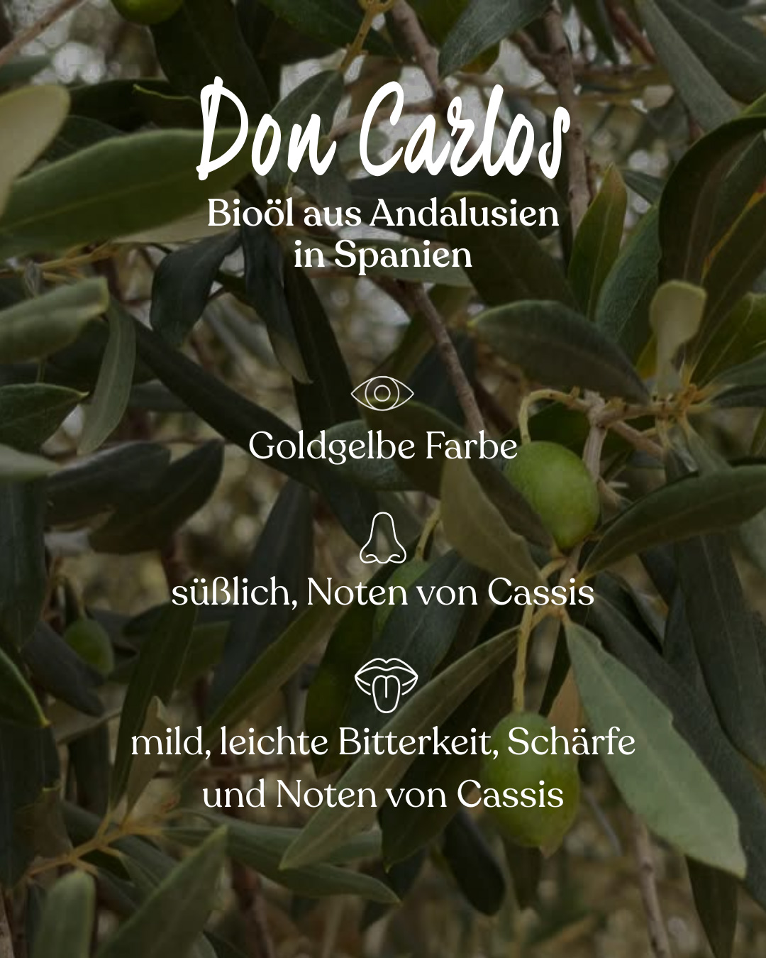 Extra natives Olivenöl Fakten Don Carlos