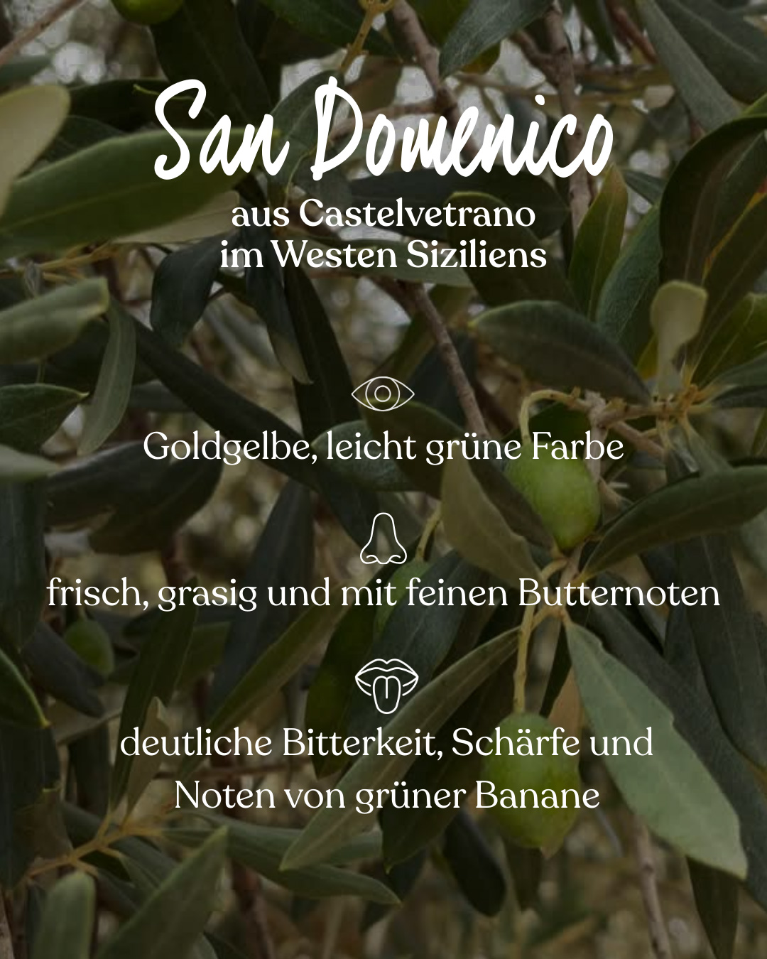 extra natives Olivenöl Fakten san Domenico