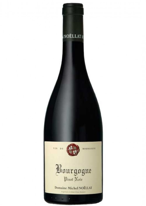 2021 Domaine Michel Noellat Bourgogne, Pinot Noir 