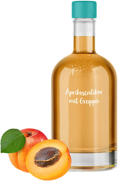 Aprikosenlikör mit Grappa | vomFASS